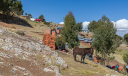 LAC TITICACA.    