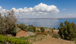 LAC TITICACA.    