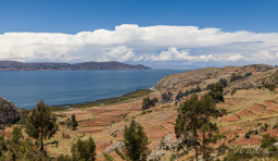 LAC TITICACA.    