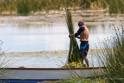 LAC TITICACA.    