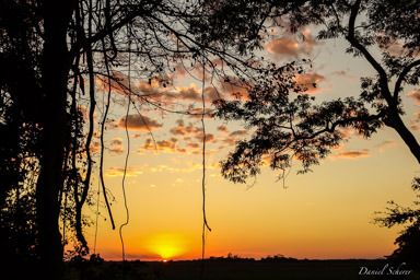   coucher du soleil