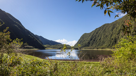    Le grand Etang