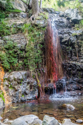 cilaos   cascade du bras rouge