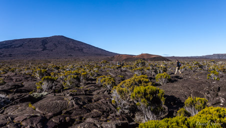 Le Piton de la Fournaise   Formica Leo