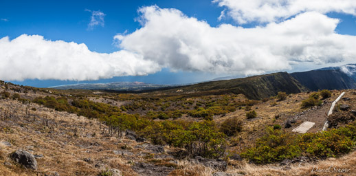    Vue du Maido