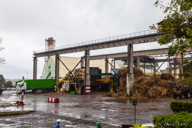 L'usine sucrière du Gol   