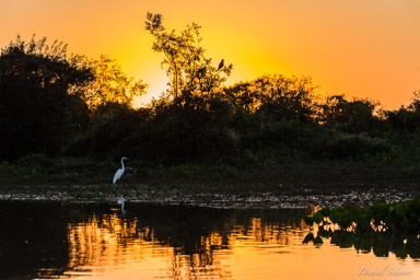   coucher du soleil