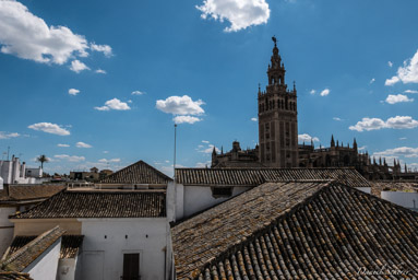 cathédrale de Séville  