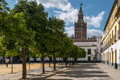 cathédrale de Séville  