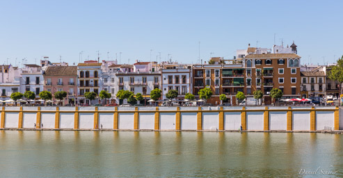 Triana  