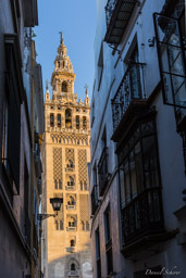 Giralda  