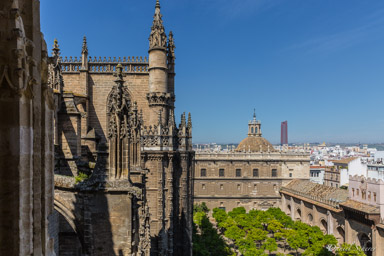 cathédrale de Séville  