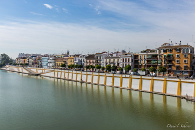 Triana  