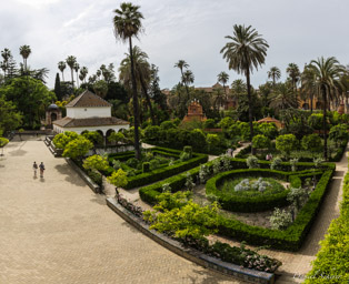 Jardin du Real Alcazar  