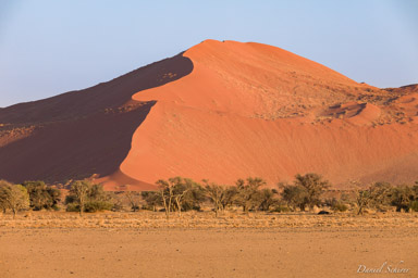 Sossuvlei  