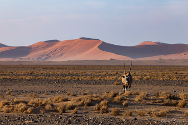 Sossuvlei  
