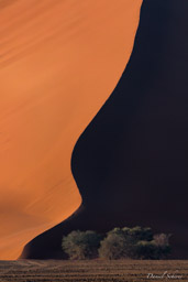 Sossuvlei  
