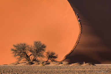 Sossuvlei  
