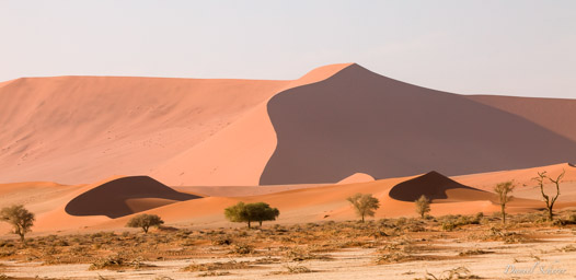 Sossuvlei  
