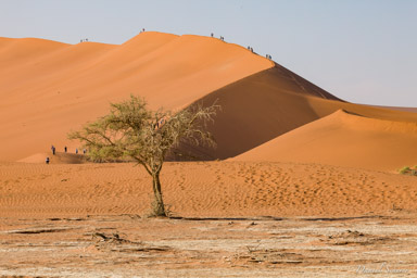 Sossuvlei  