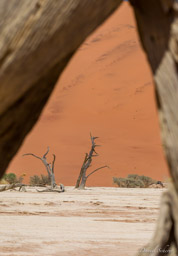 Deadvlei  
