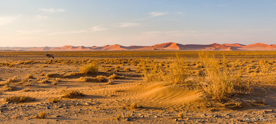 Sossuvlei  
