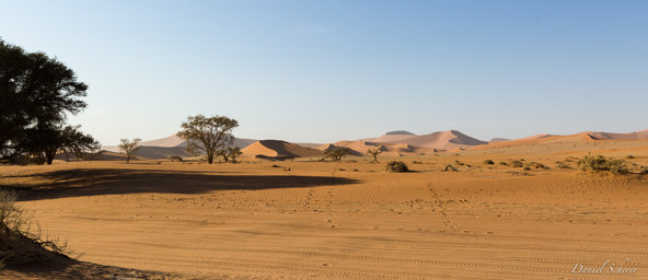 Sossuvlei  