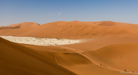 Deadvlei  