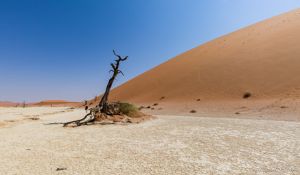 Deadvlei  