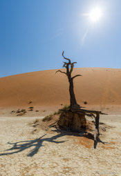 Deadvlei  