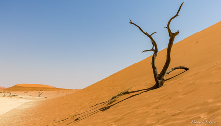 Deadvlei  