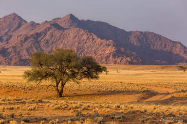 Sossuvlei  