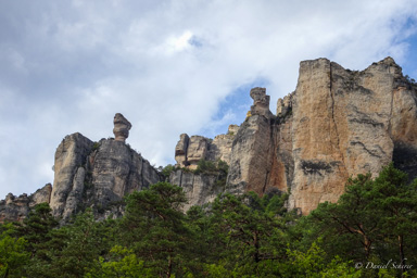 Vase de Sèvres dans les Gorges de la Jonte