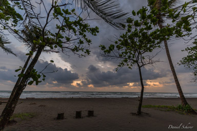 Tortuguero - lever du soleil - sunrise  