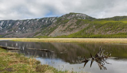 Madison River