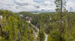 Grand canyon de Yellowstone