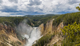 Grand canyon de Yellowstone