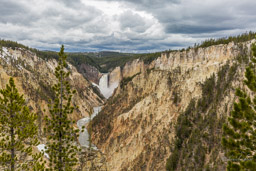 Grand canyon de Yellowstone