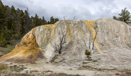 Mammoth Hot Springs