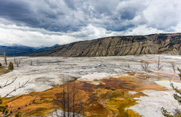 Mammoth Hot Springs