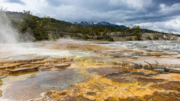 Mammoth Hot Springs