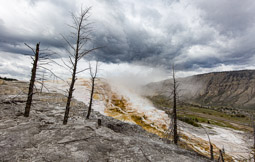 Mammoth Hot Springs