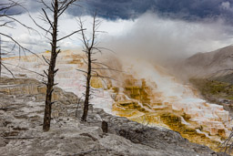 Mammoth Hot Springs