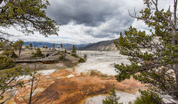 Mammoth Hot Springs