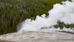 Old Faithful Geyser