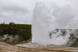 Old Faithful Geyser