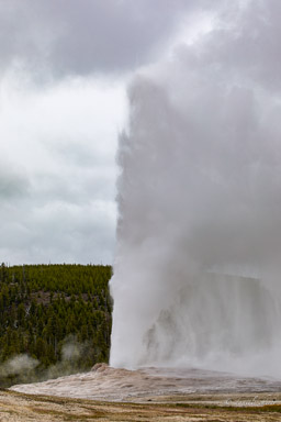 Old Faithful Geyser