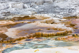 Mammoth Hot Springs