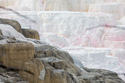 Mammoth Hot Springs