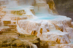 Mammoth Hot Springs